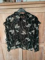 Blouse MissKoo Paris, Groen, Maat 38/40 (M), Ophalen of Verzenden, Zo goed als nieuw