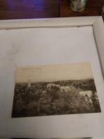 ERMELO. VELDWIJK  IN VOGELVLUCHT, Verzamelen, Ansichtkaarten | Nederland, Ophalen of Verzenden, Voor 1920, Gelderland