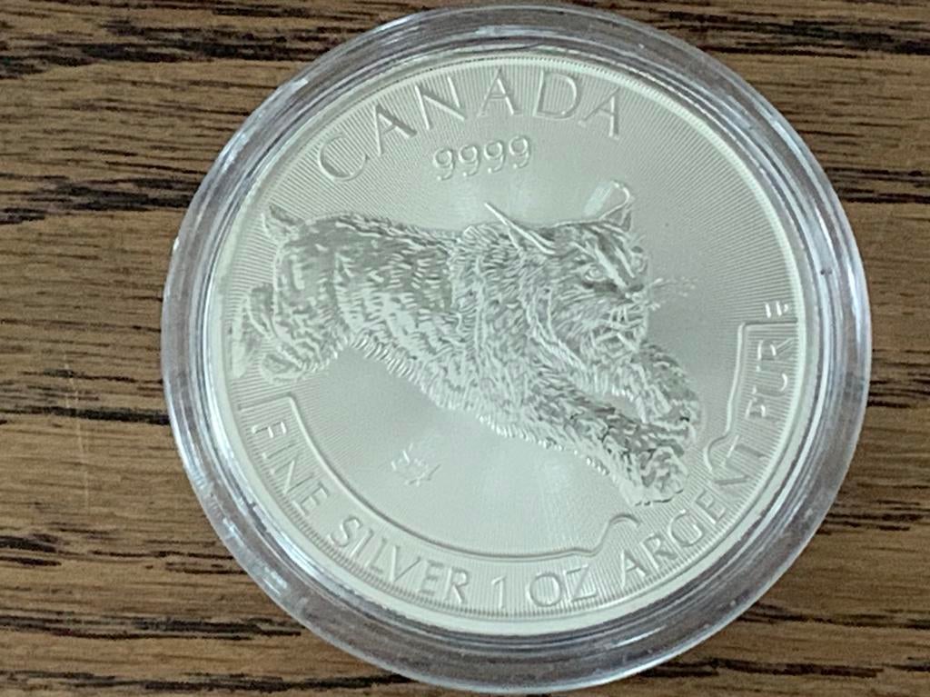 Elisabeth 2 Canada  5 dollar 2017 met roofdier 1 oz, Ophalen of Verzenden, Zilver