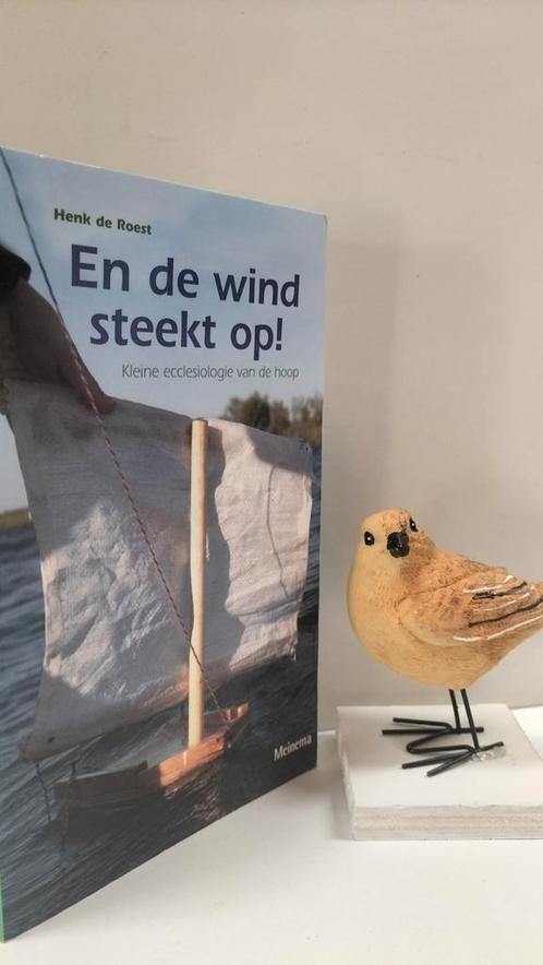 Roest, Henk de; En de wind steekt op!, Boeken, Godsdienst en Theologie, Gelezen, Christendom | Protestants, Ophalen of Verzenden