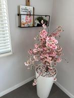 Bloesemboom lichtroze incl. witte pot, Ophalen, Zo goed als nieuw, Binnen