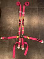 Beltenick gordel geschikt voor hans FIA keur verlopen (2025), Verzenden