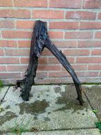 Aquariumhout kienhout XXL, Ophalen of Verzenden, Zo goed als nieuw, Plant(en), Steen of Hout