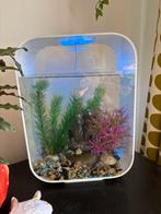 Biorb 15 liter. Ook biorb 40 liter met vele accessoires., Dieren en Toebehoren, Ophalen, Zo goed als nieuw, Leeg aquarium