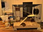 Ferplast hamsterkooi karat 60 incl accessories en toebehoren, Dieren en Toebehoren, Knaagdieren en Konijnen | Hokken en Kooien
