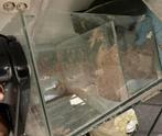 Gesplitst aquarium 60x30x30, 2 bakken in 1, Ophalen, Zo goed als nieuw