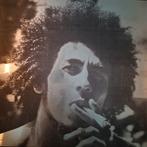 3 aluminium afbeeldingen. 40x40cm, Huis en Inrichting, Ophalen, Minder dan 50 cm, Zo goed als nieuw, Schilderij