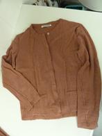 FEMMES DU SUD JURK EN VEST NIEUW MAAT L, Maat 38/40 (M), Bruin, Ophalen of Verzenden, Onder de knie