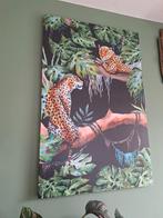 Canvas doek zgan, Ophalen, Zo goed als nieuw
