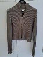 Sara pacini vest mt.42, Kleding | Dames, Overige kleuren, Sarah Pacini, Maat 42/44 (L), Ophalen of Verzenden