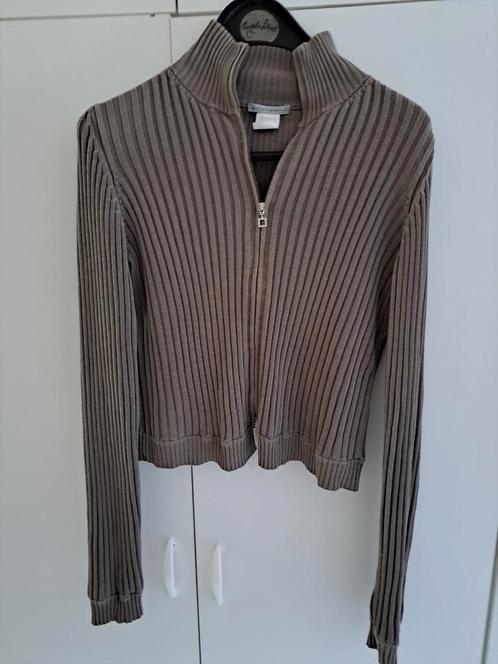 Sara pacini vest mt.42, Kleding | Dames, Truien en Vesten, Zo goed als nieuw, Maat 42/44 (L), Overige kleuren, Ophalen of Verzenden