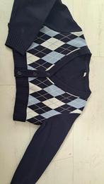 Geruite vest. M, Maat 38/40 (M), Divided, Blauw, Ophalen of Verzenden