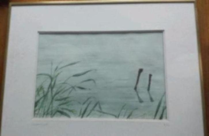 mooie aquarel Waterkant Jan M. Vollema Weesp, Antiek en Kunst, Kunst | Schilderijen | Klassiek, Ophalen