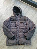 PME Legend Winterjas, Verzenden, Gedragen, Maat 48/50 (M), PME Legend