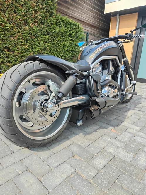 Harley Davidson Nicht Rod Special., Motoren, Motoren | Harley-Davidson, Particulier, Chopper, Ophalen