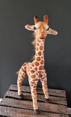 Nieuwe Knuffel Giraffe - 60 cm, Ophalen of Verzenden, Nieuw, Overige typen