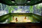 Dagticket 18 nov. Elysium incl. lunch, Eén persoon