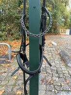Hoofdstel gecombineerde neusriem, Dieren en Toebehoren, Paarden en Pony's | Hoofdstellen en Tuigage, Ophalen of Verzenden, Gebruikt