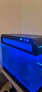 te koop aquarium en gratis vissen, Dieren en Toebehoren, Vissen | Aquaria en Toebehoren, Ophalen, Gebruikt, Gevuld zoetwateraquarium