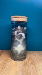 Grote rat op sterk water, Verzamelen, Dierenverzamelingen, Ophalen