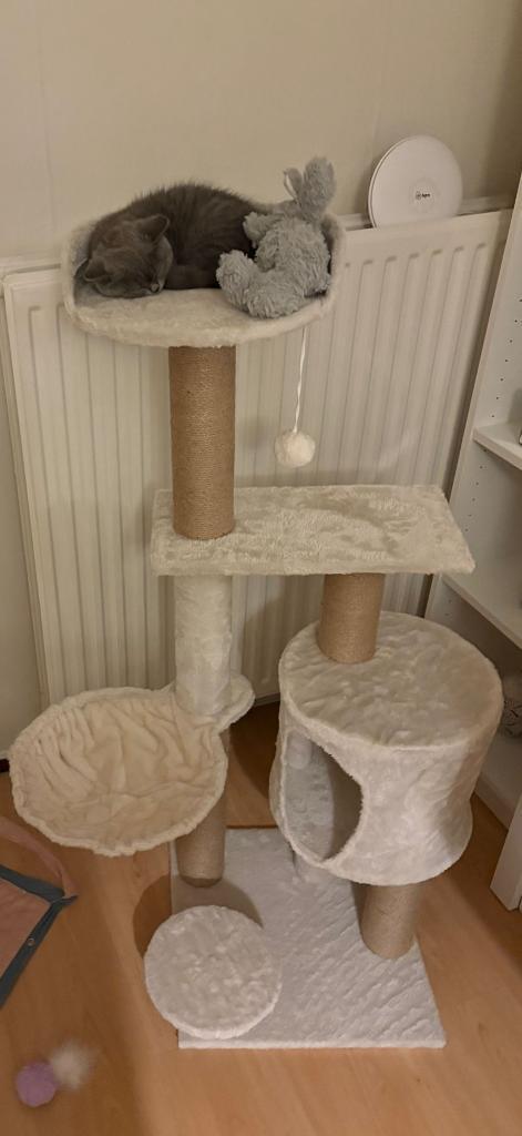 Krabpaal kat, Dieren en Toebehoren, Krabmeubelen, Zo goed als nieuw, Krabpaal, Ophalen