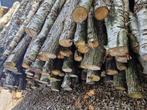 Beschikbaar: 1 vracht machinehout berk en els, Ophalen of Verzenden, Overige houtsoorten, Stammen