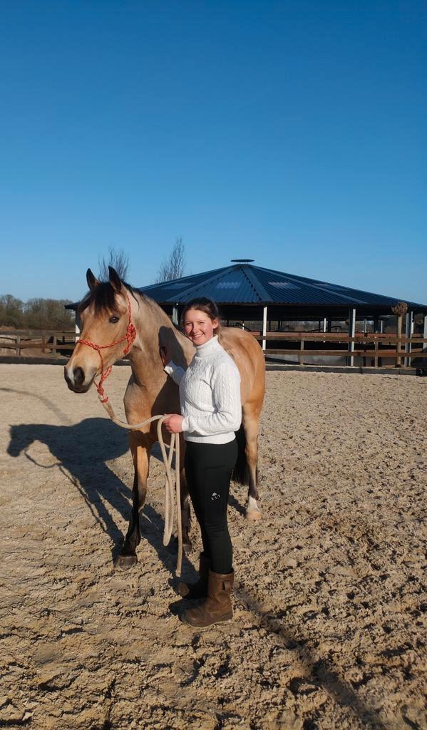 Instructie aangeboden, Diensten en Vakmensen, Dieren | Paarden | Verzorging, Oppas en Les, Gedragstraining, Paardrijles of Ponykampen