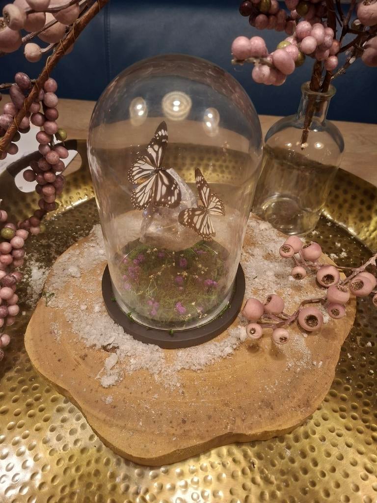 Prachtige vlinder stolp met aura Amethist, Ophalen of Verzenden