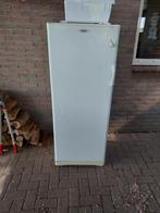 Marynen koelkast, Zonder vriesvak, 140 tot 160 cm, Zo goed als nieuw, 45 tot 60 cm