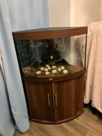 Juwel trigon 190 aquarium, Dieren en Toebehoren, Ophalen, Gebruikt, Leeg aquarium