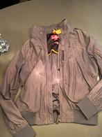 Parajumper jas, Maat 48/50 (M), Parajumpers, Ophalen of Verzenden, Grijs