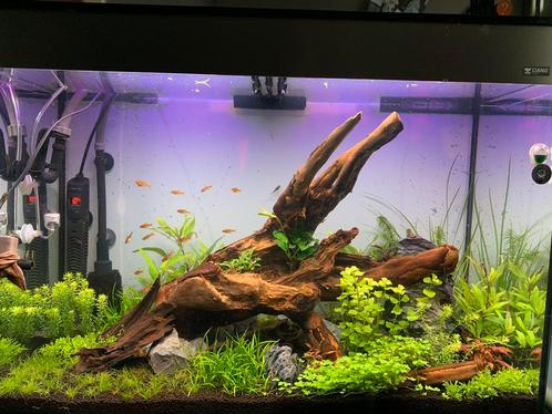Ciano aquarium h80xb56xd37, Dieren en Toebehoren, Vissen | Aquaria en Toebehoren, Gebruikt, Leeg aquarium, Ophalen