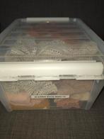 Meisjeskleding maat 74 - Leuke set!, Kinderen en Baby's, Babykleding | Maat 74, Gebruikt, Meisje, Ophalen of Verzenden, Setje