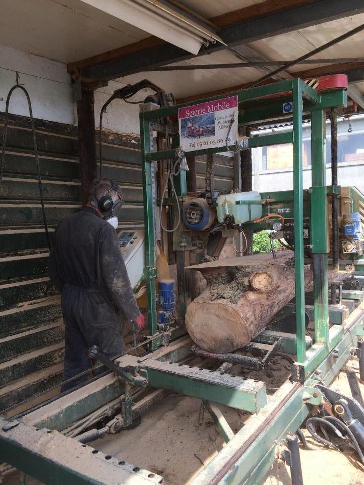 Boomstamplanken iep eik olijf wortel noten taxus esdoorn enz, Doe-het-zelf en Verbouw, Hout en Planken, Nieuw, Plank, Overige houtsoorten