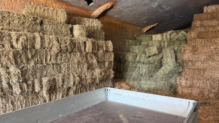 Zware pakjes 1e snede 2025 te koop!, Dieren en Toebehoren, Dierenvoeding, Vee, Ophalen