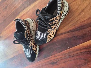 Steve madden  maat 35/36 beschikbaar voor biedingen