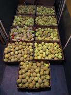 Tennis/padelballen, Ophalen