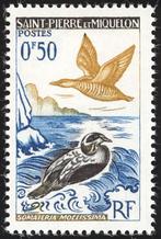 SINT PIEE & MIQUELON 3 - Dieren: vogels (eidereend), Verzenden, Postfris, Dier of Natuur