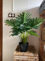 Philodendron kunstplant nieuw! Ophalen of verzenden, Huis en Inrichting, Ophalen, Nieuw