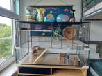Ferplast knaagdierenkooi Karat 100 hamster, Dieren en Toebehoren, Knaagdieren en Konijnen | Hokken en Kooien, Kooi, 60 tot 90 cm