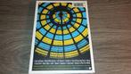 Pearl Jam - Immagine In Cornice [DVD], Vanaf 16 jaar, Ophalen of Verzenden, Zo goed als nieuw