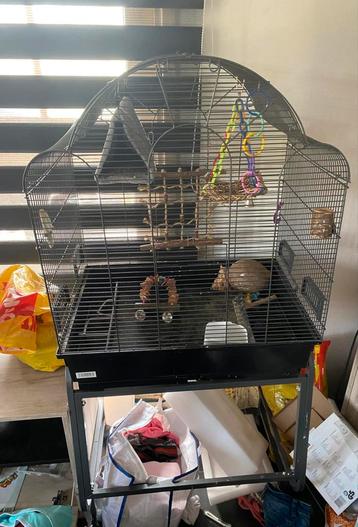 Kooi voor je vogel / cavia etc. beschikbaar voor biedingen