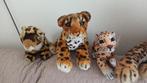 Panter knuffels, Ophalen of Verzenden, Zo goed als nieuw, Overige typen