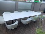 ✅✅Prachtige tafel van joli 100 op 290 en 10 sintesi stoelen, Ophalen, Kunststof, 200 cm of meer, 50 tot 100 cm