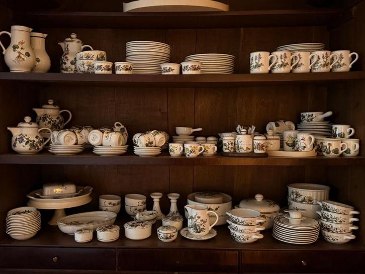 Villeroy & Boch Botanica Servies Compleet, Huis en Inrichting, Keuken | Servies, Gebruikt, Compleet servies, Overige stijlen, Aardewerk