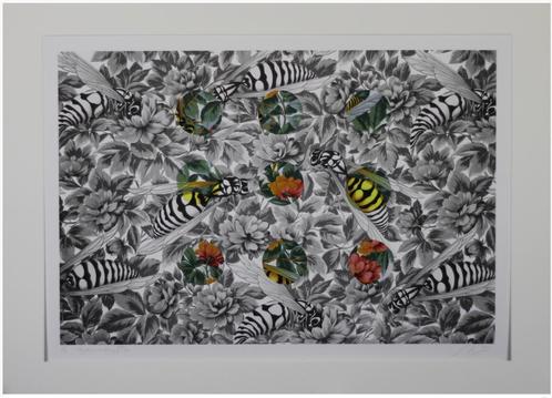 Litho van Arjan van Arendonk (II), Antiek en Kunst, Kunst | Litho's en Zeefdrukken, Ophalen