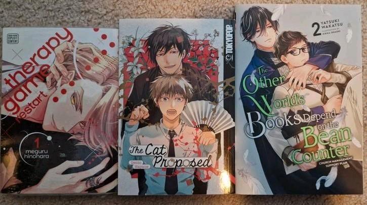 BL/yaoi 2x Manga en 1x Light Novel (engels), Boeken, Strips | Comics, Zo goed als nieuw, Meerdere comics, Japan (Manga), Ophalen of Verzenden