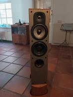 Paradigm monitor speakers 7 V 3 incl norse bi-wire jumpers, Audio, Tv en Foto, Luidsprekers, Gebruikt, 120 watt of meer, Front, Rear of Stereo speakers