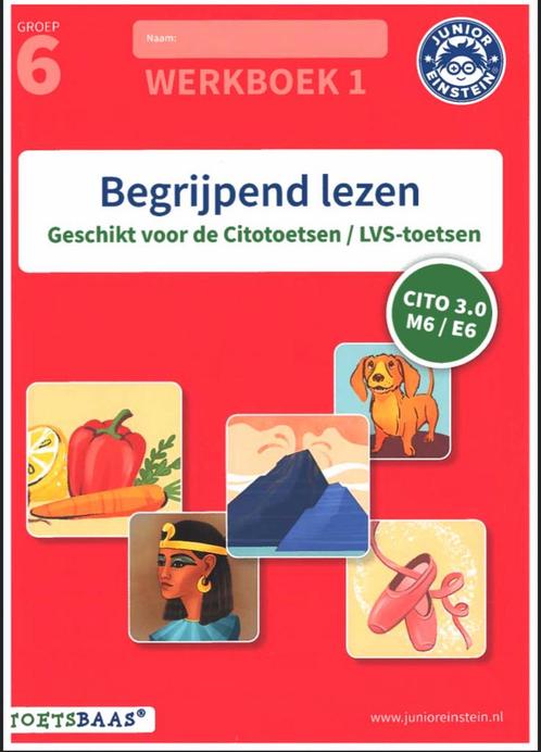 Junior Einstein groep 6 - Begrijpend Lezen deel 1 en 2, Boeken, Schoolboeken, Nieuw, Overige niveaus, Ophalen of Verzenden