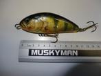 Kunstaas: Salmo Fatso 10 Sinking Jerkbaits, Watersport en Boten, Hengelsport | Roofvissen, Verzenden, Gebruikt, Overige typen